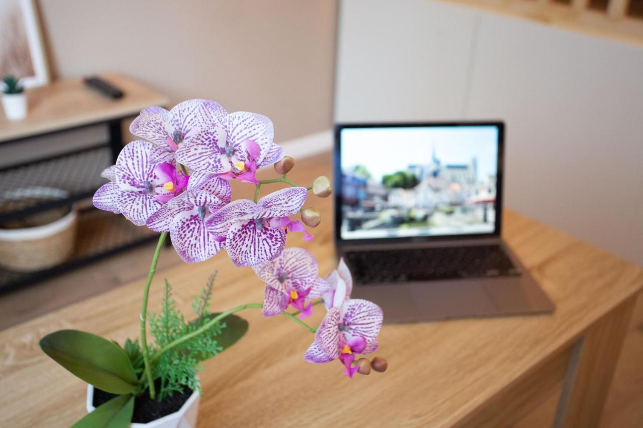 L'Estrade D'Amiens - Studio Atypique Et De Standing - Wifi Haut Debit - 2P Dış mekan fotoğraf